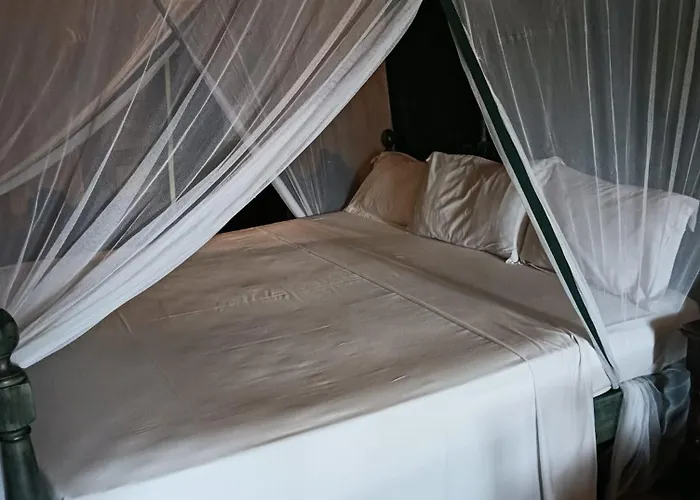 Vibe Corso 525 Gasthuis 4*